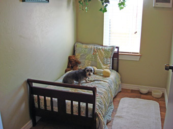spacious boarding suite